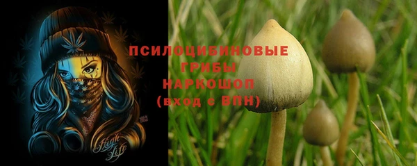 каннабис Богданович