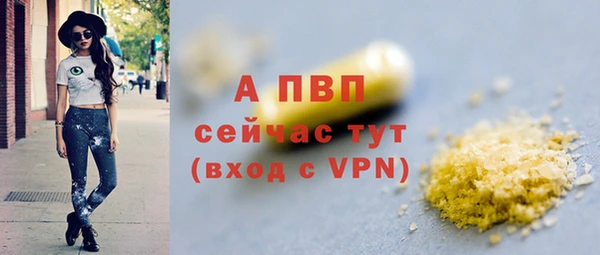 дурь Бородино