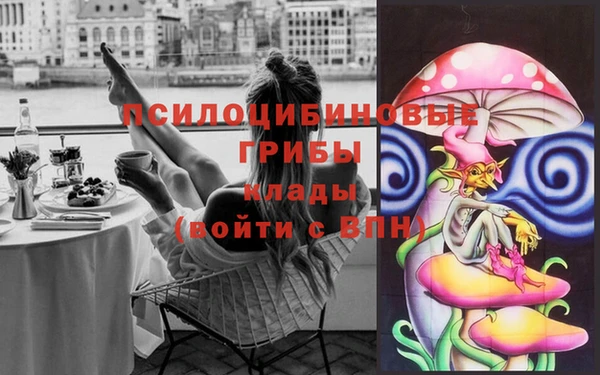 прущие крисы Бронницы