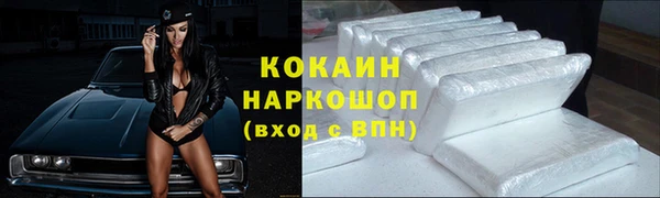 дурь Бородино