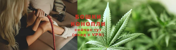 дурь Бородино