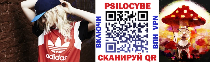 Псилоцибиновые грибы Psilocybe  Каспийск 